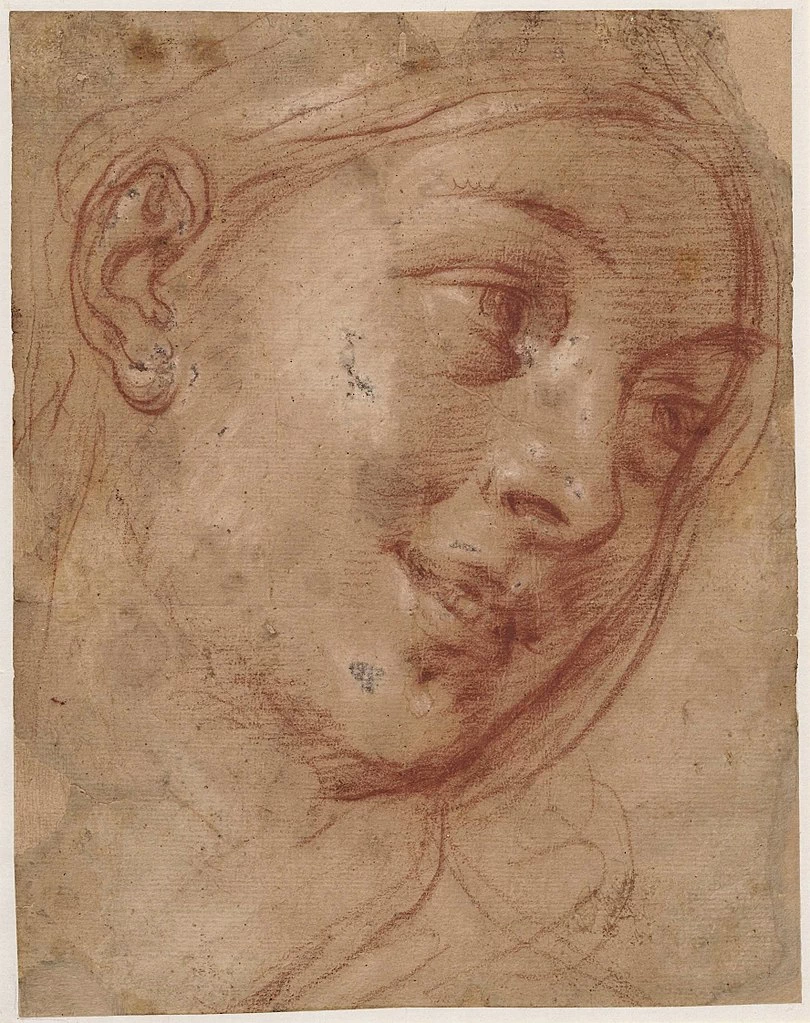 Testa di donna - Muzeum Narodowe, Varsavia